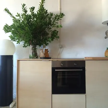Castle Hill Loft Apartment